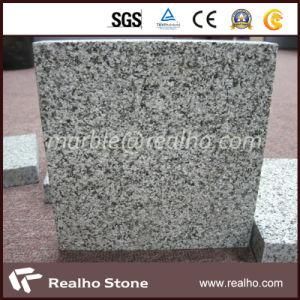 G654 Granite Slab/Cut to Size with Polished Surface