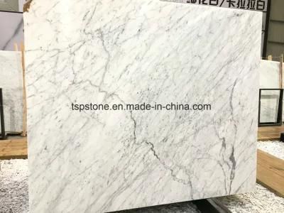 Selected Bianco Carrara White Marble Slab for Flooring/Floor/Bathroom Tile
