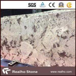 Brazil Blanc Du Blanc White Granite for Kitchen Countertop