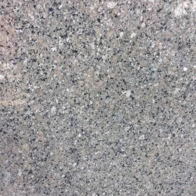 Chinese Granite for Tile and Countertop