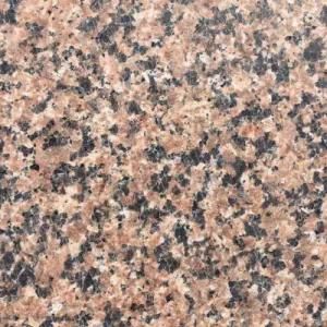 Desert Brown Granite Slab and Tiles