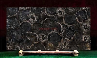 Gemstone Black Petrified Wood Slab
