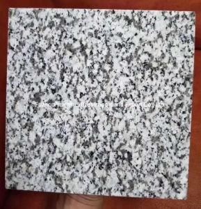 Polished Floor Granite Tile Polular Building Material Grey G654 Wall Tile Granite
