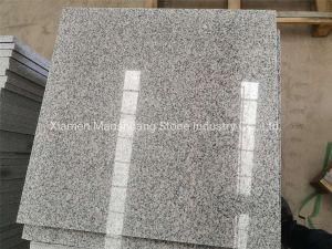 High Quality Cheap G603 Stone Slab for Wall/Floor