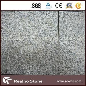 Factory Price Bush Hammered G654 Sesame Impala Black Granite for Floor
