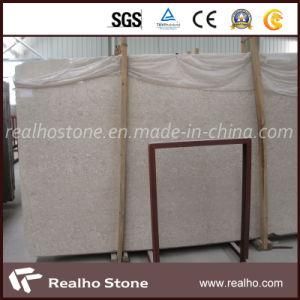 Honed/Bushhammered Surface Fine/Medium/Big Gain Portugal Beige Limestone for Project Flooring Tiles