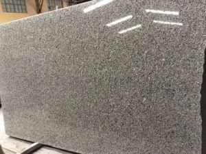 Grey Star / Granite Slab for Kitchen/Bathroom/Wall/Floor