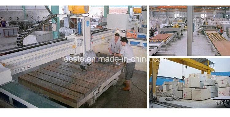 Hot Sale Good Price Chinese Natural Calcatta Gold Marble Tile for Backsplash