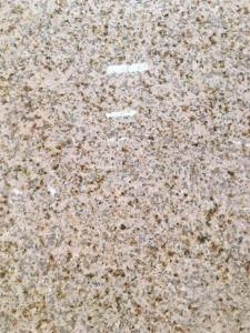 G682 Polished Misty Yellow Granite