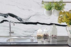 Panda White Marble Slab/Tile for Floor Tile / Countertop