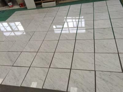 Italian Nature Stone Carrara White Marble Slabs for Interior Projects/Villas/Residents