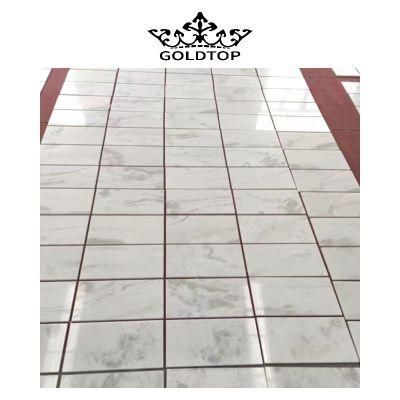 Factory Wholesale Building Material Floor/Wall Tiles Slab Rhinocero White Marble for Home or Hotel