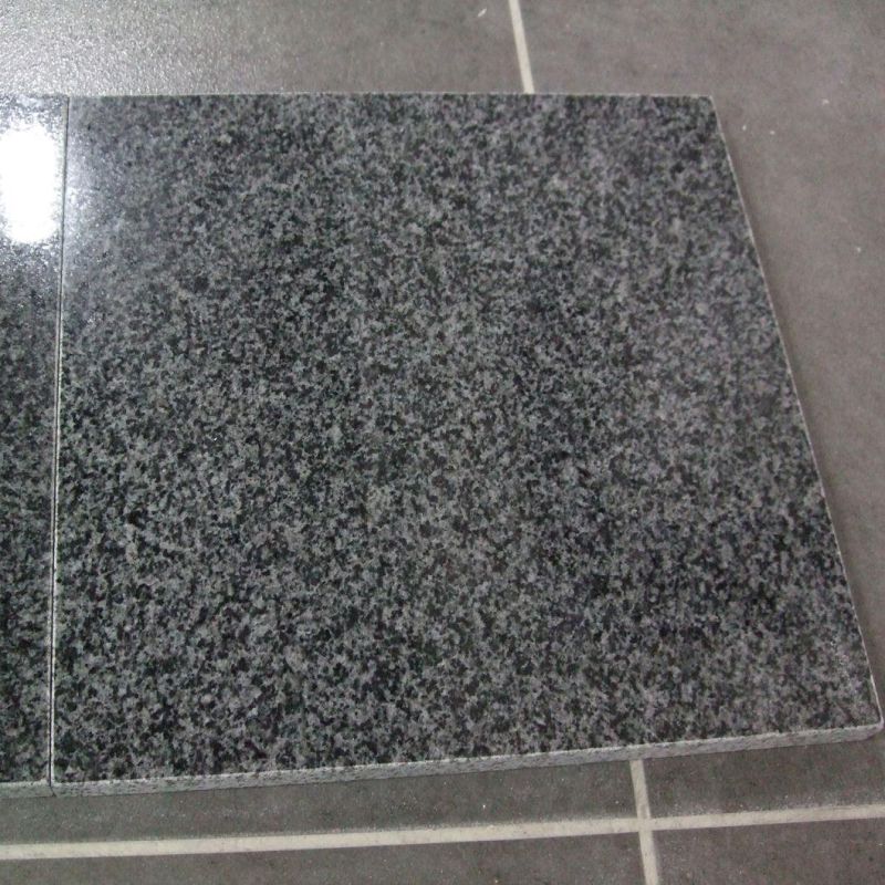 China Padding Dark G654 Granite Stone Outdoor Swimming Pool Nosing Tiles for Sale