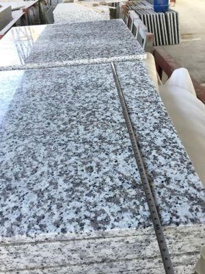 Grey Granite G439 Granito for Outdoor Stair/Treads/Granite Risers Floor Tiles