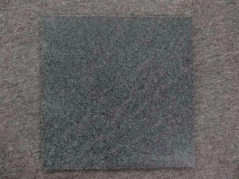 Flamed Chinese G654 Pitra Dark Grey Granite Paving Tiles for Outdoor