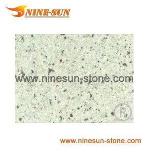 Regina White Granite (YX-G658)