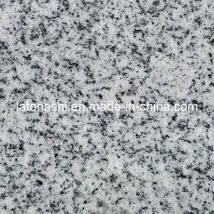 Padang Light White Granite, Grey G633 Granite Tile From China