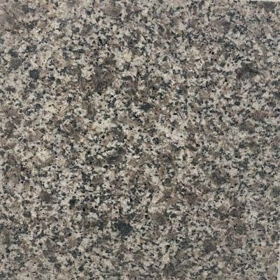 New Cheap Grey and White Granite for Polished and Flamed Stone