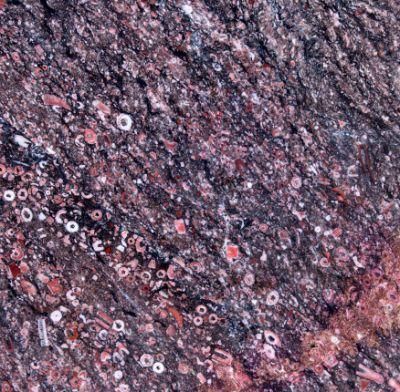 Bueatiful New Product Ocean Red Marble Slabs