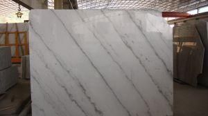 White and Gold Quality Marble Hardness