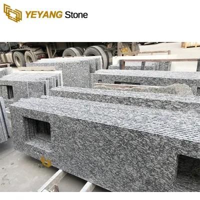 Newly White Granite Slab Countertop/Vantiy Bathroom/Kitchen/Garden/Outside Worktop Wholesale