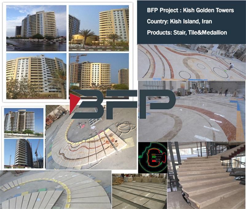 Customized Wholesale Rusty Yellow Granite Vanity Top/Floor Tiles/ Kitchen Countertop