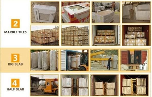 New Exclusive Castro White Marble Slabs/Tiles for Airport/Hotel/Hospital Project