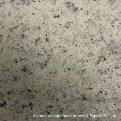 Globe White Giallo Granite with Smooth Surfaces and Rich Texture Use for Granite for Hotels and Interior Decoration