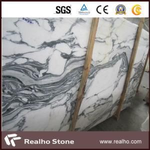 Italy Arabescato White Marble for Flooring Design and Wall Tile