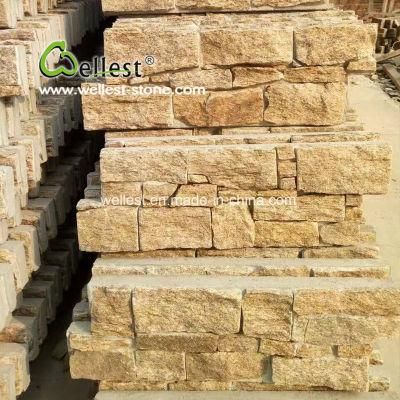 Yellow Quartzite Cement Back Ledge Stone for Wall
