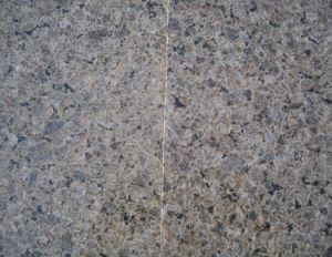 Chinese Tropic Brown Granite for Outside Wall Cladding Tiles