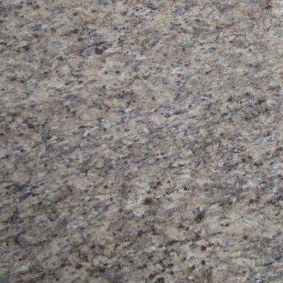 China Natural Polished Granite for Building Floor Paving Stone Venetian Gold