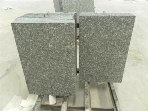 Imported Granite Verde Fontain for Tiles/Countertops/Kitchentops/Hotel/Building Materials