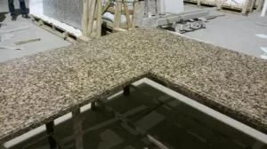 Motain Grey Quartz-M043-Countertop