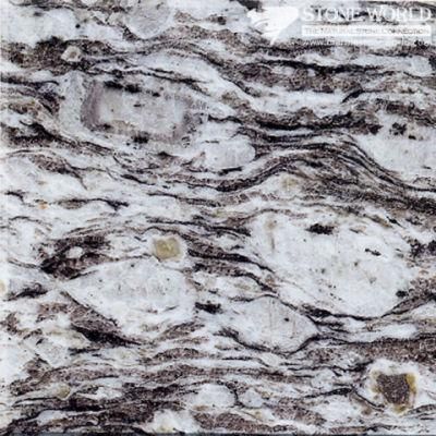 Polished White Oyster Granite for Countertops of Kitchen &amp; Bathroom (MT007)