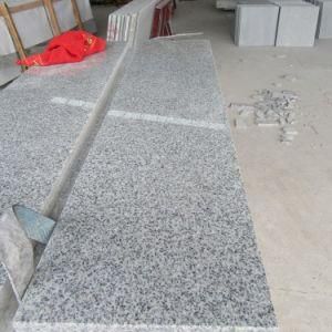 Wholesale China G603 Light Grey Granite Swimming Pool Coping