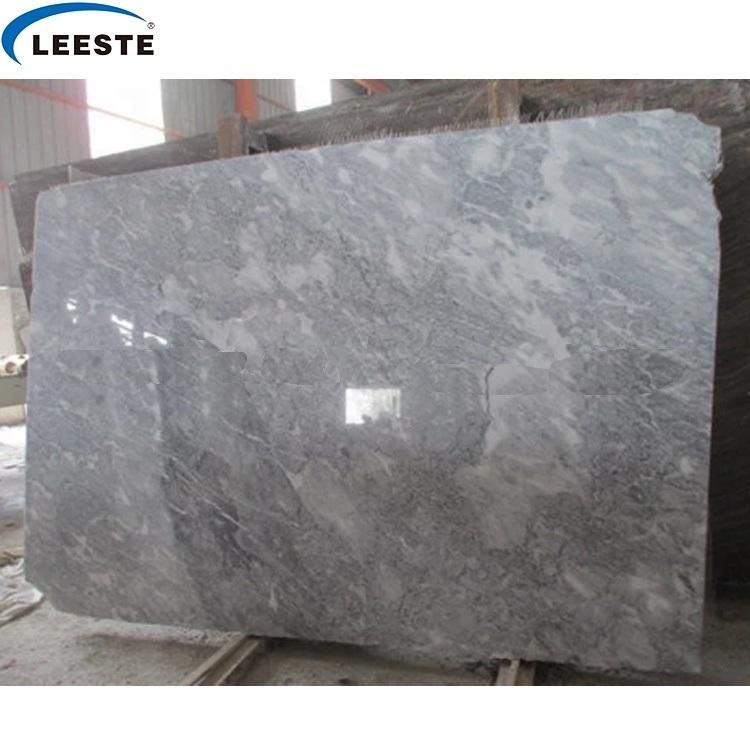 Italy Roman Grey Marble on Sale