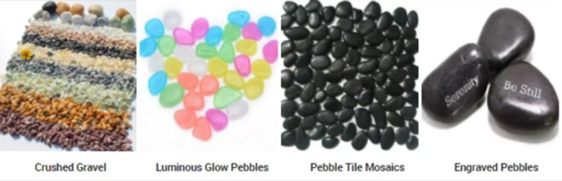 Cheap Mesh Polished Surface River Cobble Stone Mosaic Pebble Tile for Bathroom
