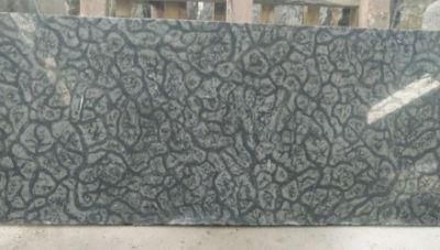 China Top Black Granite/Oracle Granite/Black Granite for Floor/Background