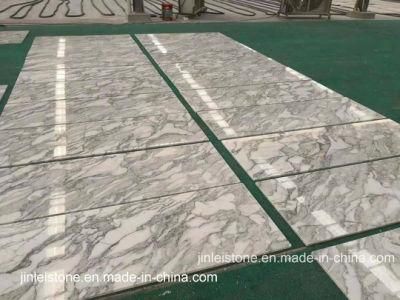Natural Material Cheap Arabescato Stone Marble Floor Tile for Hotels/Rooms/Interior Decoration