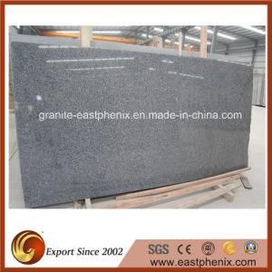 Chinese Polished Granite Stone G654 Big Slab
