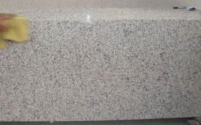 Flooring Tile Granite G655 Slabs Sesame White Granite