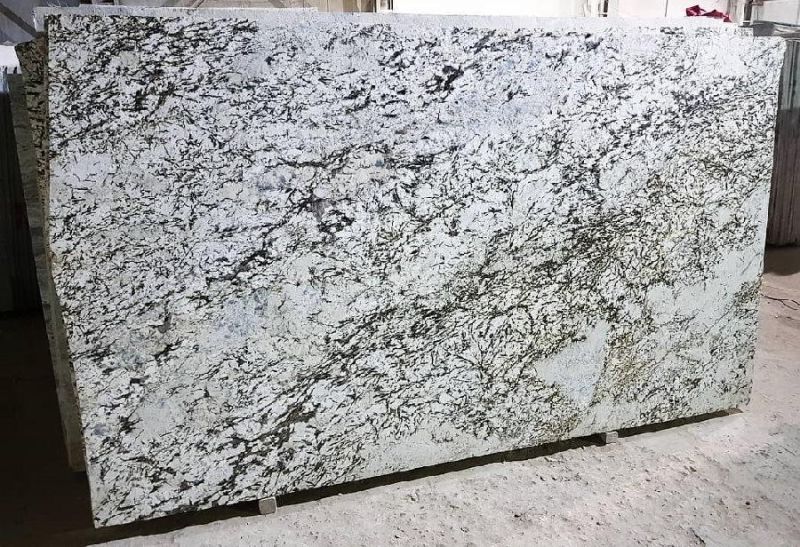 Bianco Antico Granite for Kitchen Countertop/Island/Worktop/Wall
