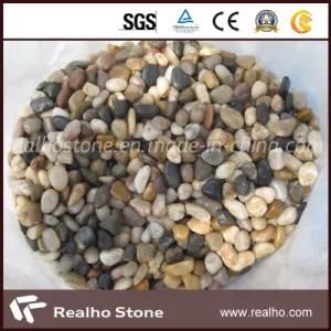 Polished Mixed-Color Landscaping Pebbles