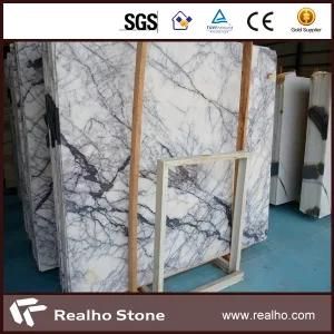 High Quality Italy White Marble Slab with Good Price