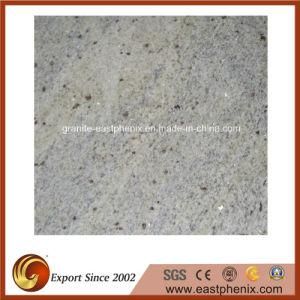 Kashmir White Granite Wall Cladding for Wall Tiles/Countertop