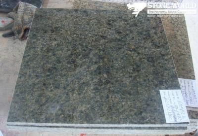 Polished China Green Granite Tile for Flooring/Wall