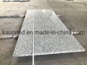 Snow White Countertop Stone Products
