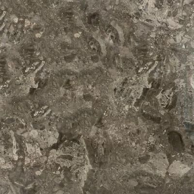 Natural Stone White/Grey Slab Marble Countertop/Place of Interest/Table/Wall/Floor Hotel/Villa/School Project Design