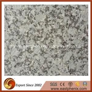 Light Grey Chinese Granite Stone Tiles for Kitchen Bathroom